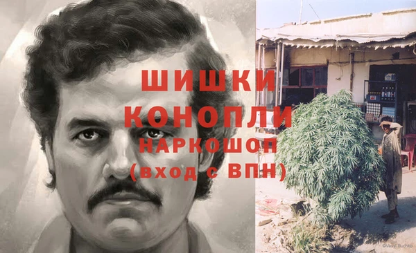 прущая мука Гусев