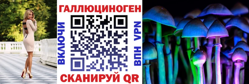 цены наркотик  блэк спрут зеркало  Галлюциногенные грибы GOLDEN TEACHER  Жуковка 